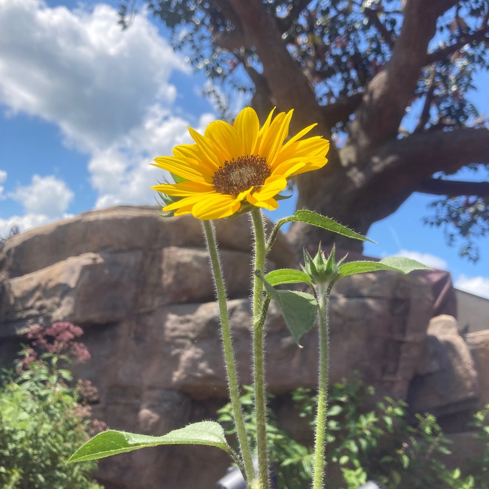 Meet your Posher, Quinn